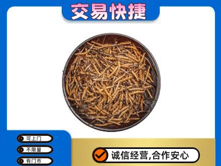 来宾礼品回收虫草.jpg
